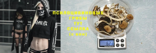 соль ск Зеленокумск