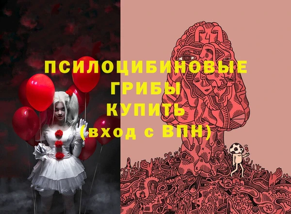 соль ск Тавда